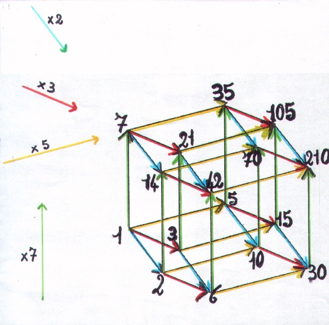 Diagramma di Hasse a 4 dimensioni