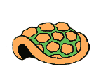 Testudo mathematica