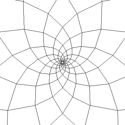 Heliotropium vel araneae tela